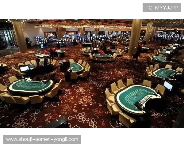 揭秘何鸿燊旗下赌场的娱乐设施与服务特色满足不同客户群体的多样化需求