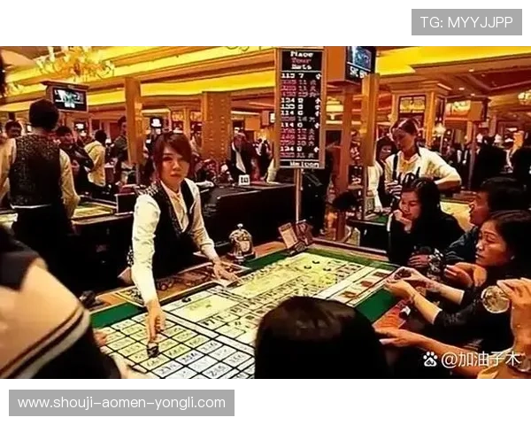 澳门前十赌场攻略，如何选择最适合自己的豪华赌场体验指南