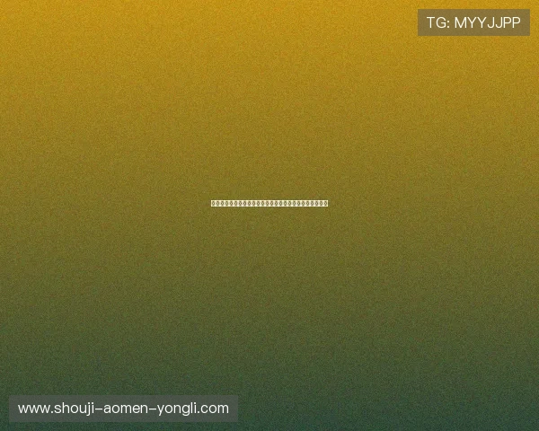 澳门永利平台最新优惠活动全面解析助你轻松享受高额返利