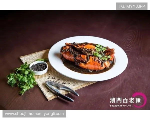 澳门百老汇官网入口最新指南，轻松访问澳门百老汇娱乐体验全攻略