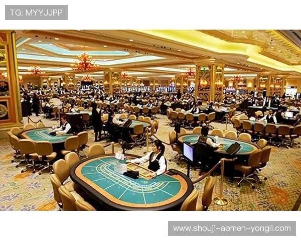 澳门的赌场有几家，如何选择适合自己的赌场娱乐体验指南