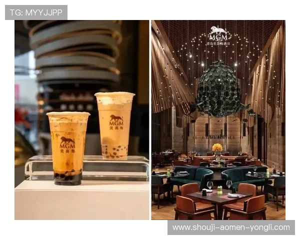 梅高美娱乐公司在泰国的发展现状与未来趋势分析