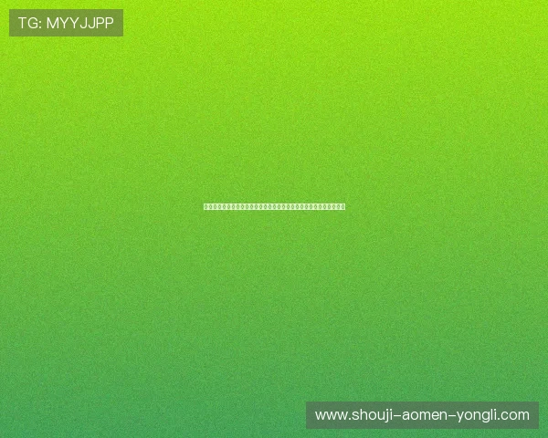 永利皇宫网址官方网站官方入口指南,帮助用户快速找到正规登录渠道